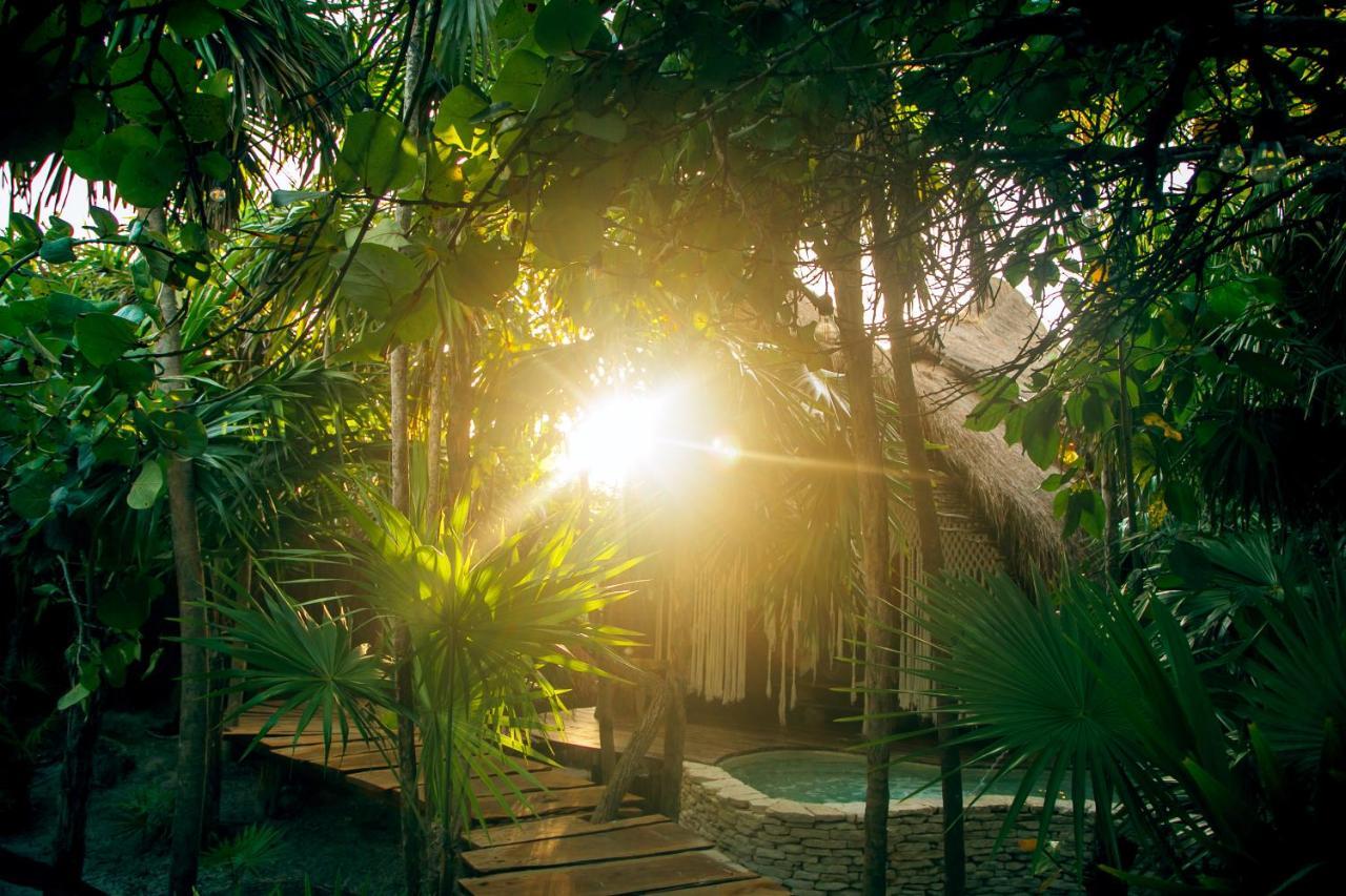 Ikal Tulum Hotel Exteriör bild Jungle at Xel-Há