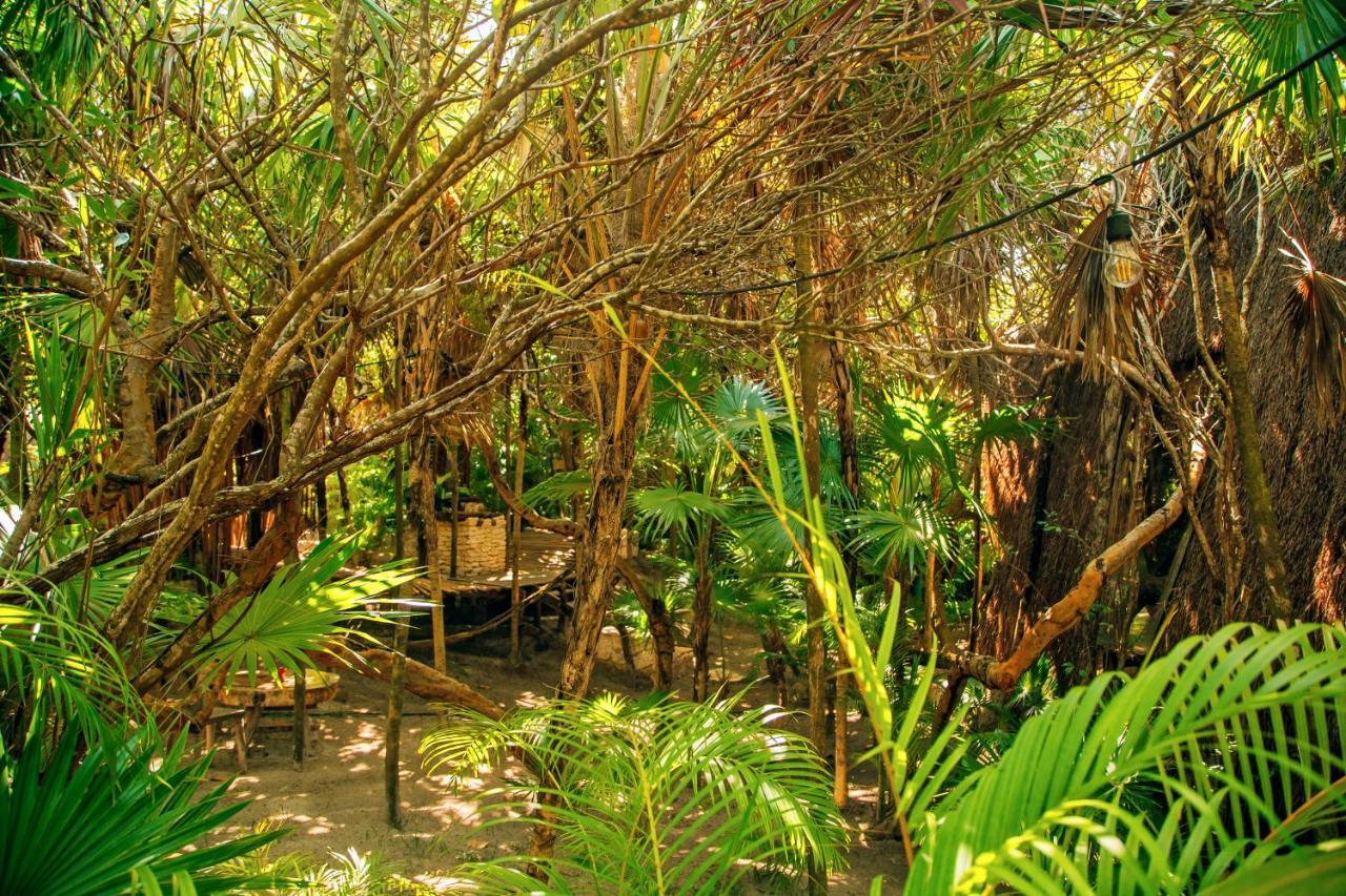 Ikal Tulum Hotel Exteriör bild Jungle